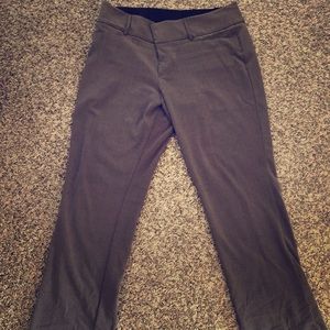 Dress Pants (Plus Size)